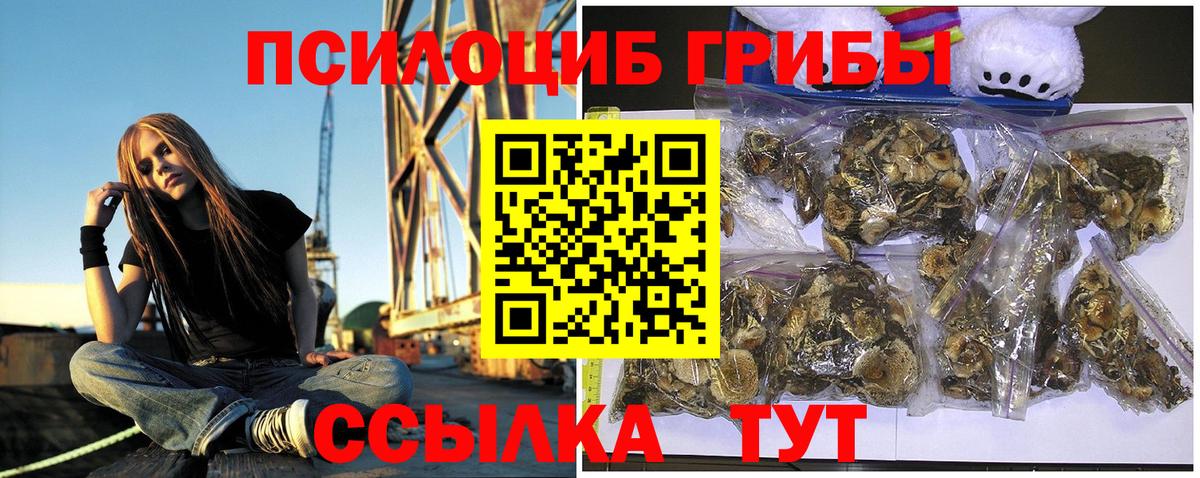 Галлюциногенные грибы GOLDEN TEACHER Муром
